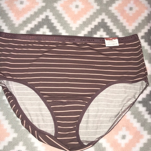Cacique Intimates & Sleepwear Cacique Cotton Highleg Brief 38